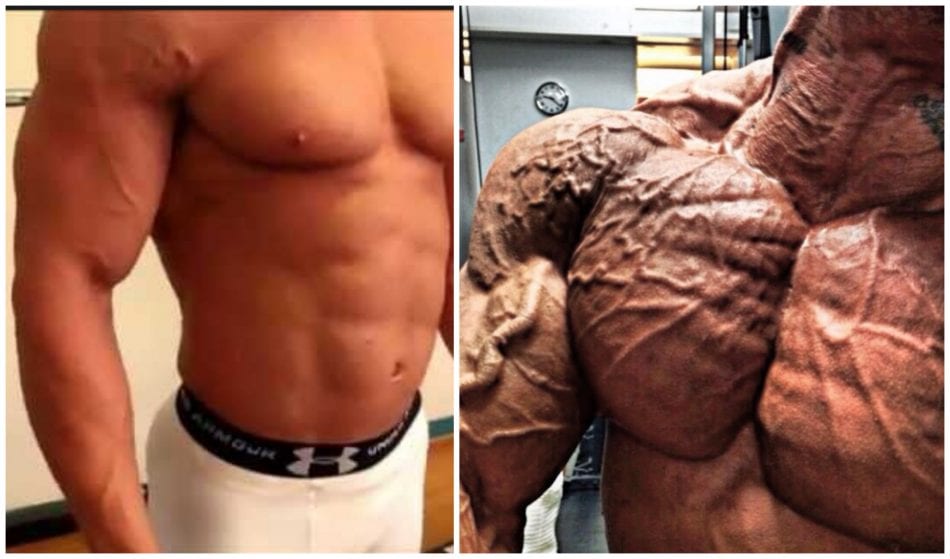 Learn How to Become Vascular - Bodybuilders' levels of vascularity