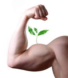 Are you working out hard enough--biceps growing